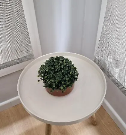 Apartamento Comodidad Cerca De La Playa.. A Un Paso De Todo!