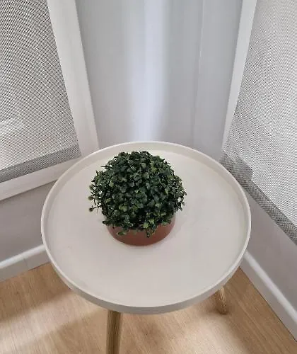 Apartament Comodidad Cerca De La Playa.. A Un Paso De Todo!